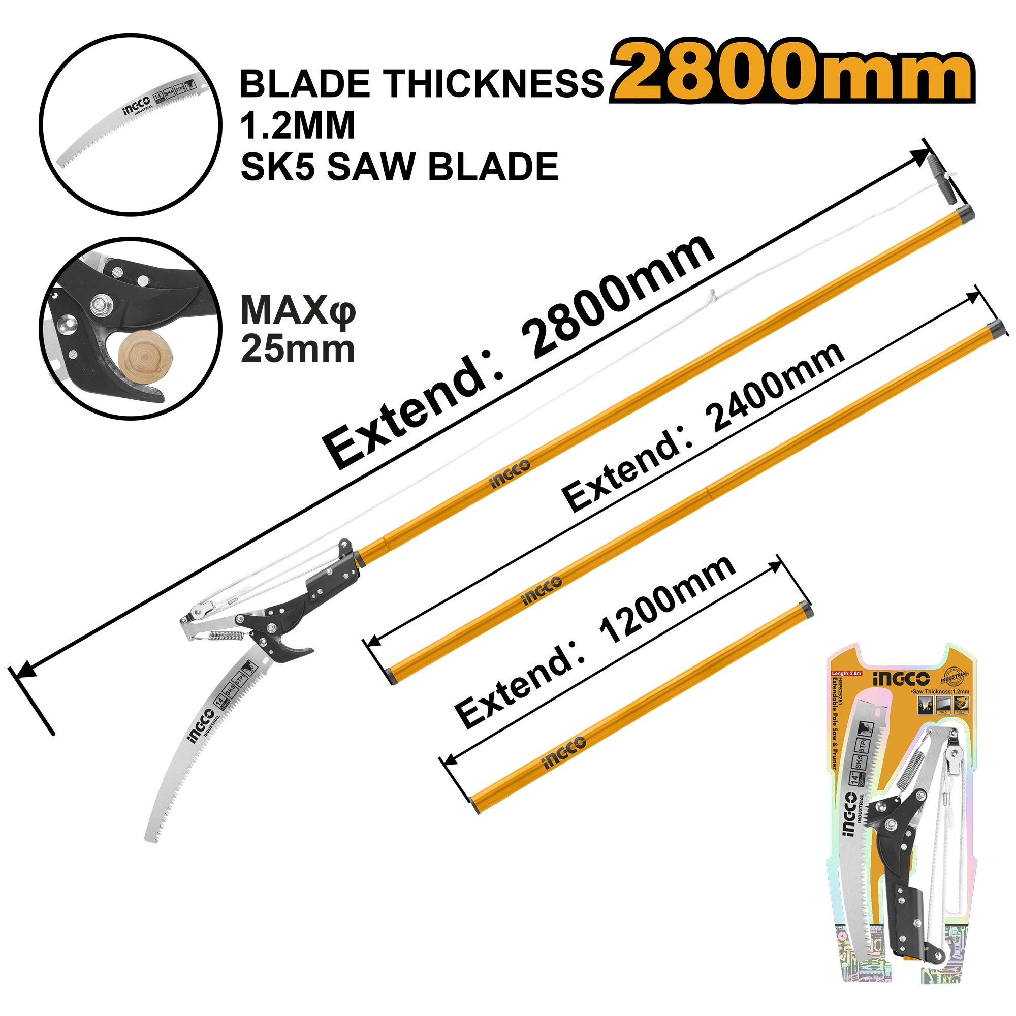 Extendable Pole Saw & Pruner
