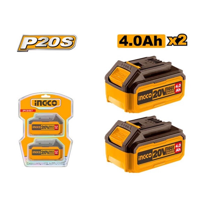 P20S Lithium-Ion Battery Kit
